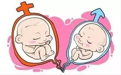 供卵代怀包生男孩机构